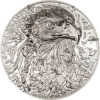 30830_Silver Burst - Bald Eagle_r