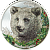 30503_Woodland Spirits - Bear_r